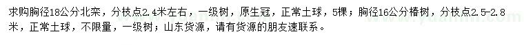 求购胸径18公分北栾、胸径16公分椿树