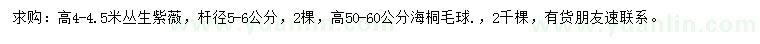 求购高4-4.5米紫薇、高50-60公分海桐