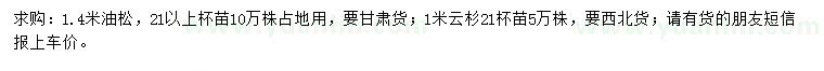 求购1米云杉、1.4米油松