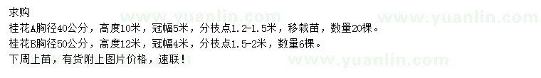 求购胸径40、50公分桂花