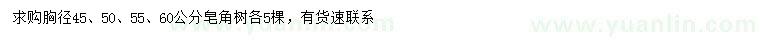 求购胸径45、50、55、60公分皂角