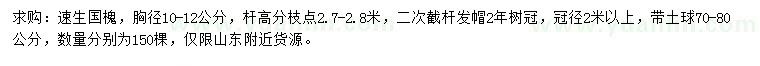 求购胸径10-12公分速生国槐