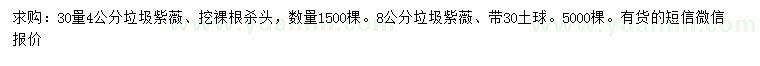 求购4、8公分紫薇