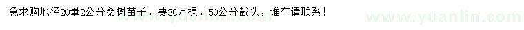 求购地径20量2公分桑树苗