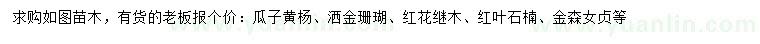 求购瓜子黄杨、洒金珊瑚、红花继木等