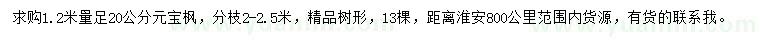 求购1.2米量足20公分元宝枫