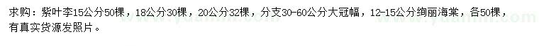 求购15、18、20公分紫叶李、12-15公分绚丽海棠