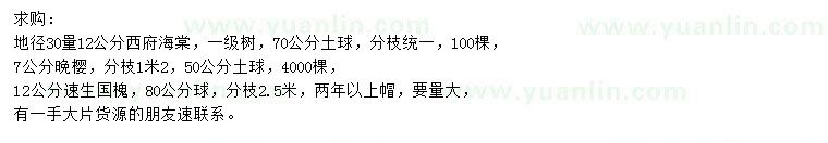 求购西府海棠、晚樱、速生国槐