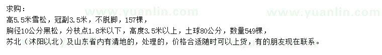 求购高5.5米雪松、胸径10公分黑松