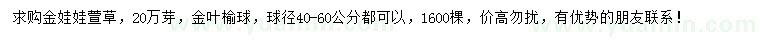 求购金娃娃萱草、冠幅40-60公分金叶榆球