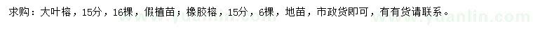 求购15公分大叶榕、橡胶榕