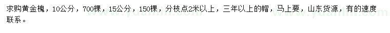 求购10、15公分黄金槐