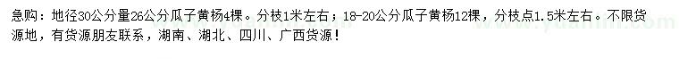 求购地径30量18-20、26公分瓜子黄杨