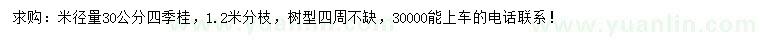 求购米径30公分四季桂