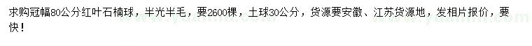 求购冠幅80公分红叶石楠球