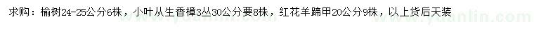 求购榆树、小叶从生香樟、红花羊蹄甲