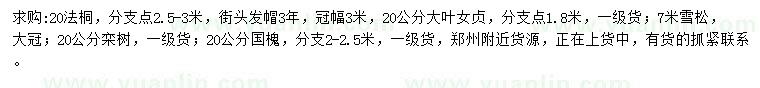 求购法桐、大叶女贞、雪松