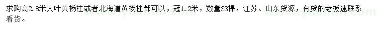 求购高2.8米大叶黄杨柱或北海道黄杨柱