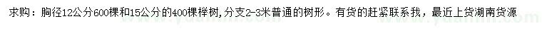 求购胸径12、15公分榉树