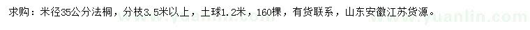 求购米径35公分法桐