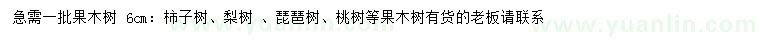 求购柿子树、梨树 、枇杷树等