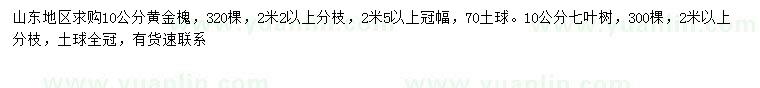 求购10公分黄金槐、七叶树