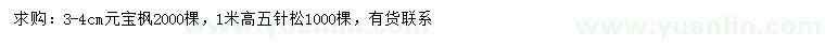 求购3-4公分元宝枫、高1米五针松