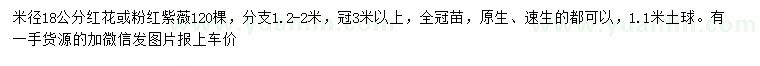 求购米径18公分红花紫薇、粉红紫薇