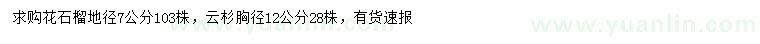 求购地径7公分花石榴、胸径12公分云杉