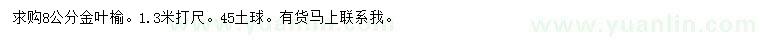 求购1.3米量8公分金叶榆