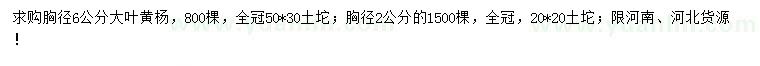 求购胸径2、6公分大叶黄杨