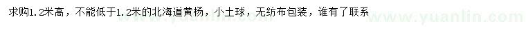 求购高1.2米以上北海道黄杨