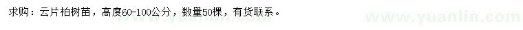 求购高60-100公分云片柏树