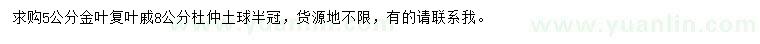 求购5公分金叶复叶槭、8公分杜仲