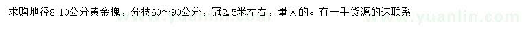 求购地径8-10公分黄金槐