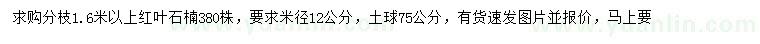 求购米径12公分红叶石楠