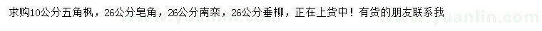 求购五角枫、皂角、南栾等