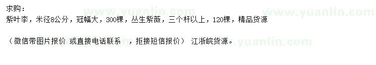 求购米径8公分紫薇、丛生紫薇