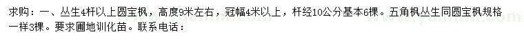 求购高9米丛生元宝枫、丛生五角枫