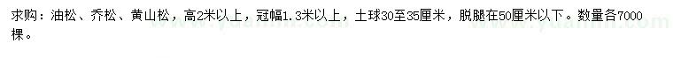 求购油松、乔松、黄山松