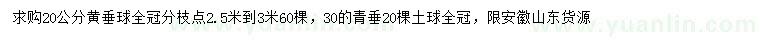 求购20公分黄垂球、30公分青垂