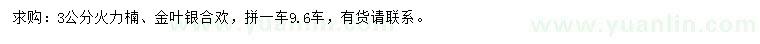 求购3公分火力楠、金叶银合欢