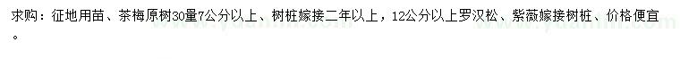 求购茶梅树桩、罗汉松树桩、紫薇树桩