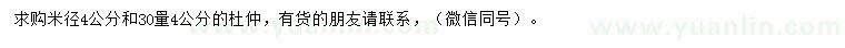 求购米径4、30量4公分杜仲
