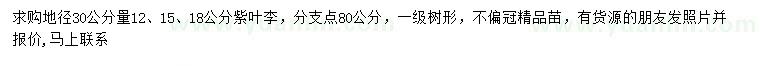 求购地径30公分量12、15、18公分紫叶李