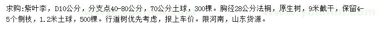 求购地径10公分紫叶李、胸径28公分法桐