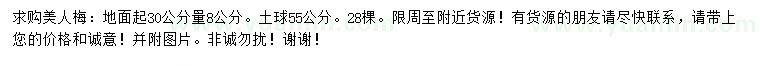 求购地面起30公分量8公分美人梅