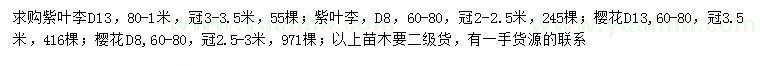 求购地径8、13公分紫叶李、樱花