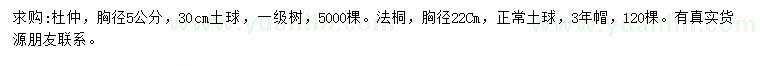 求购胸径5公分杜仲、22公分法桐