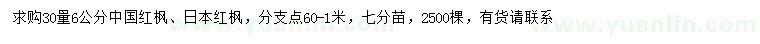 求购30量6公分中国红枫、日本红枫